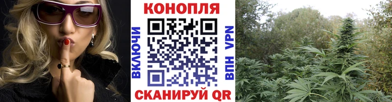 купить наркотик  Тайшет  Марихуана план 
